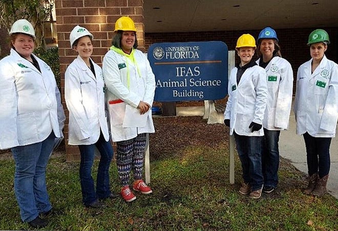 The Volusia County 4H intermediate and senior meats judging teams placed fourth at the Florida 4H Meats Judging Contest in Gainesville recently. Team members are, from left, Bailey Sloan, 17, of DeLand; Nicole Falk, 17, of Edgewater; Jayden Moore, 13, of Pierson; David Austin, 12, of DeLand; Baleigh Oliver, 17, of DeLand; and Gina Dobkowski, 16, of New Smyrna Beach. Not pictured is Megan Christopher, 13, of also of DeLand.