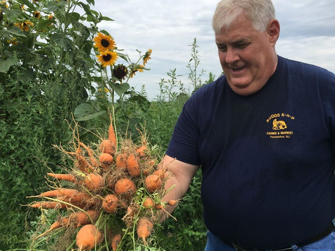 Kenny Budd, a ninth-generation farmer in Pemberton Township, with carrots freshly pulled from the ground.