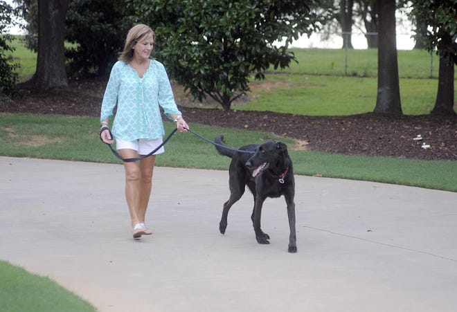 Laurie Ferguson will be taking part in the Bark for Life relay this October in Spartanburg. The American Cancer Society provided a place for her and her mother to stay in Charleston while her mother underwent cancer treatments.