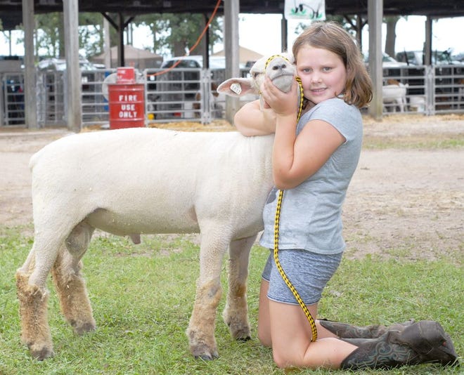 Taylor Cuchra was very proud of her sheep. This ram, in particular, won a junior grand championship and she said she is very proud of him.