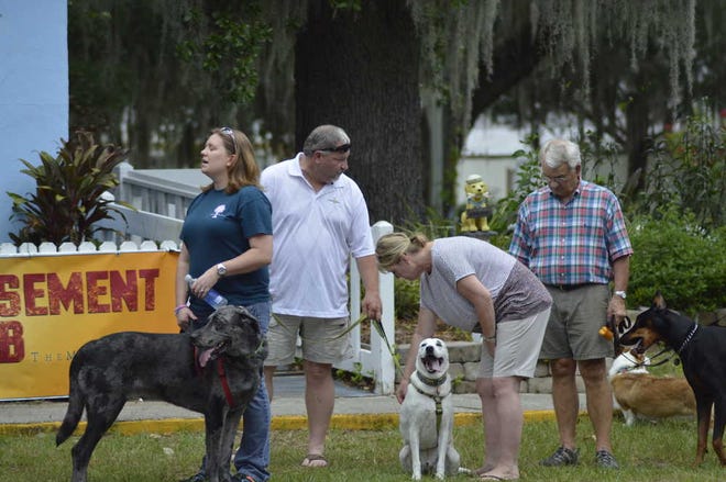 Michelle Flores/Beaufort Today Dogs and their owners stand in line waiting for their turn to shine at the casting call.