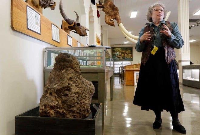 Sally Shelton, associate director of the Museum of Geology at the South Dakota School of Mines & Technology in Rapid City, South Dakota, talks about Fossil Cycad National Monument on June 19.