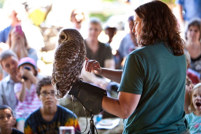 Squam Lakes Science Center brings rescued wild animals that fascinate the audience, during last year's Woods, Water and Wildlife Festival. Photo by David O'Connor