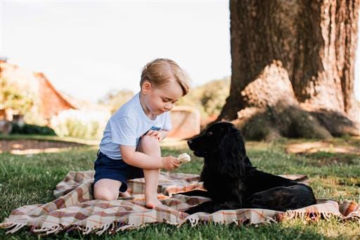 Recent but undated handout photo issued on Friday July 22, 2016 by William and Kate, the Duke and Duchess of Cambridge, of Britain's Prince George with the family dog Lupo, at Sandringham in Norfolk, England. Prince George celebrates his third birthday on July 22, 2016. (Matt Porteous/Handout via AP)