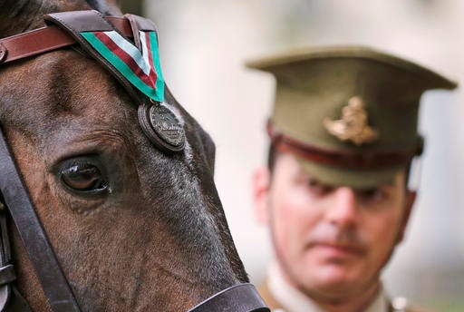 Horse Haldalgo serves as a stand-in for life-saving US Marine horse Sergeant Reckless who served with the US Marine Corps during the Korean War. Reckless, who survived one of the bloodiest battles in modern military history, was awarded the PDSA Dickin Medal — known as the animal equivalent of the Victoria Cross — for her bravery and devotion to duty during the Korean war 1950 until 1953.