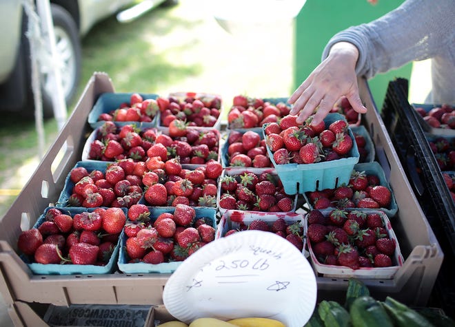 Times are "berry" good at the Cohasset Farmers Market; be sure to stop by on Thursday afternoons. Wicked Local Staff Photo/ Robin Chan