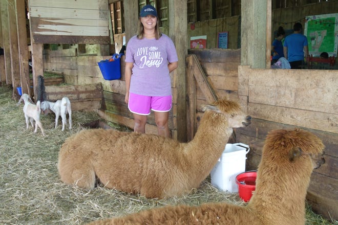 Haley stands with the alpacas.