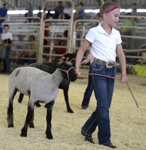 Sydney Brader, 8 of Mediapolis, wins the 2nd Grade Beginner Bottle Lamb with her sheep Sharlett Saturday, July 30, 2016, at the Des Moines County Fair in West Burlington, Iowa.