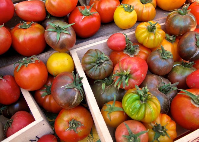 An assortment of heirlooms and hybrid tomatoes are shown at the Bayview Farmers Market. More than 700 different tomato varieties have been brought to the market and each year sees still more new introductions. AP FILE