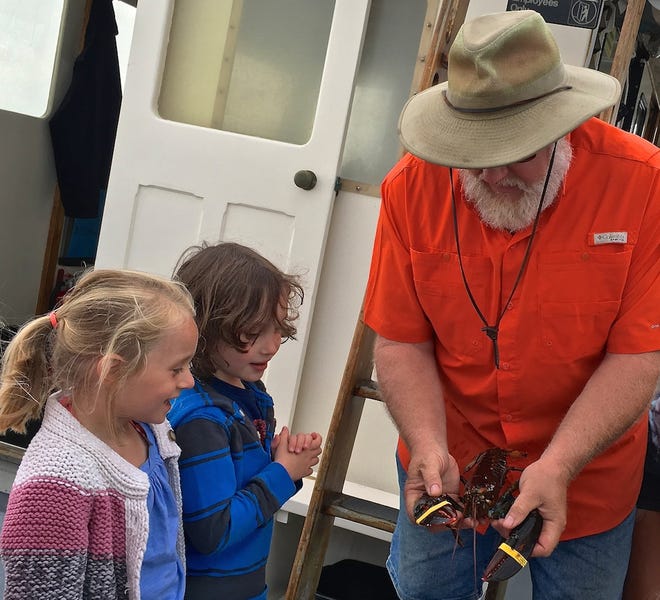 Go lobstering



Take a fun, environmental and educational excursion from Rye Harbor and learn about lobstering aboard The Uncle Oscar, Route 1A, Ocean Boulevard. Lobster traps will be hauled aboard and participants will learn about the coastal ecosystem and the strange lives of lobsters. This one-hour tour is offered at 9:30 a.m. every Monday, Wednesday, Friday and Saturday until Sept. 5 out of Rye Harbor. Cost is $8 -$14. For details, visit www.uncleoscar.com or call 964-6446.

Courtesy photo