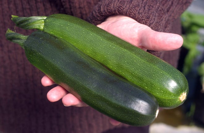Are you backing away when someone tries to give you zucchini? Have no fear with these recipes.