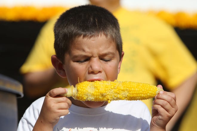 Sweet corn will be available by the bushel during the 64th annual Sweet Corn Festival in West Point, and it’s all-you-can-eat. But nobody’s counting except during the all-ages sweet corn-eating contest, which is set for 5 p.m. Friday. The festival opens today and continues through Sunday.