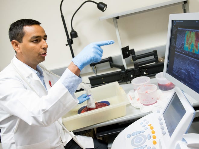 Research and Development Engineer Avinash Eranki examines a donated placenta as researchers are working to create a 3D bioprinted version to study preeclampsia at Children's National Medical Center in Washington.