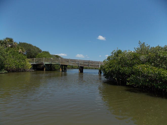 A bridge crosses over this waterway on property that Davey Johnson hopes to turn into a new coastal wetland mitigation bank. News-Journal/Dinah Voyles Pulver