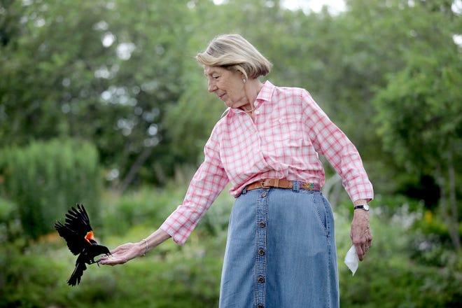 Nancy B. Miller feeds birds peanuts from her hand at a park recently in Minneapolis, Minn.