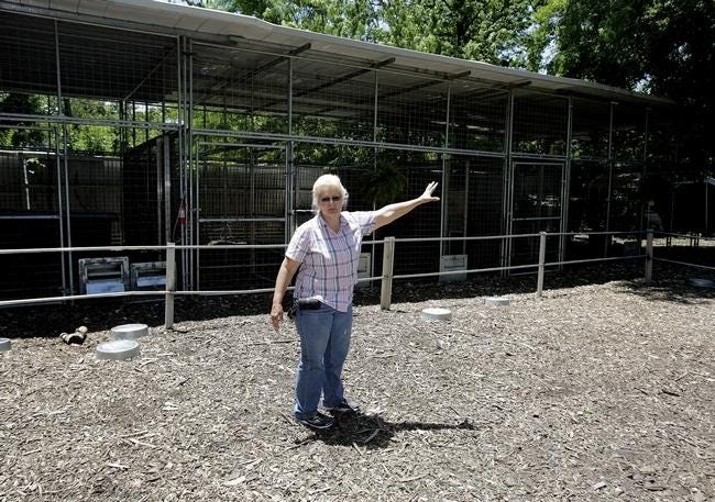 Cyndi Huntsman, owner of Stump Hill Farm, shows the empty cages where five tigers seized by the state in May were kept in this photo taken last month. (IndeOnline.com / Kevin Whitlock)