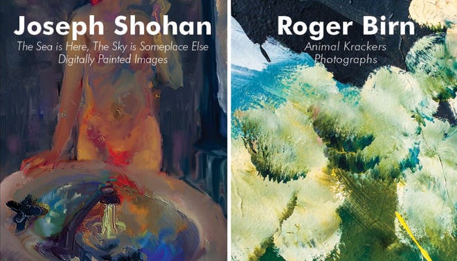 An opening reception for artists Joseph Shohan and Roger Birn, will be held Saturday from 5 to 8 p.m at Van Vessem Gallery, 63 Muse Way, Tiverton.