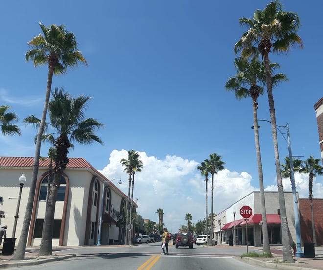 A woman crosses the street Monday in downtown Panama City. Gallery 721 owner Larry Clemons is mounting an effort to save the palms, which are slated to be removed as part of the downtown redevelopment.