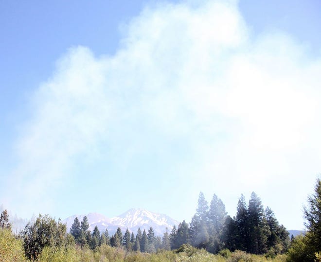 Smoke from a vegetation fire near the trail from Mt. Shasta City Park to Kingston Road Thursday morning, Aug. 25, 2016.