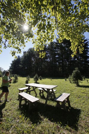 Carol Haramis, the owner of Heritage Farms, walks through one of the tent camping sites on her property. They opened three Scandinavian-style camping shelters this summer modeled on campsites in Denmark. The farm also added five primitive tent-camping sites, doubling the number available in the park. (Karen Schiely/Akron Beacon Journal)