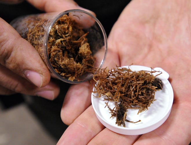 A USDA technician shows a sample of Asian longhorned beetle frass, the undigested cellulose wood fibers from the ALB larvae. File Photo/Paul Kapteyn
