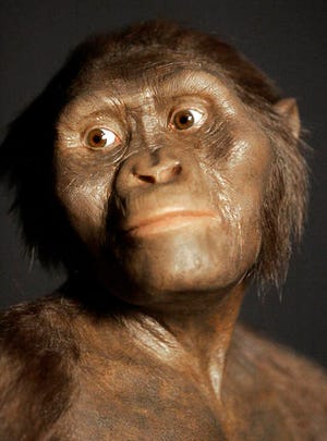 This Aug. 14, 2007, file photo shows a three-dimensional model of the early human ancestor, Australopithecus afarensis, known as Lucy, on display at the Houston Museum of Natural Science. (AP Photo/Pat Sullivan, File)