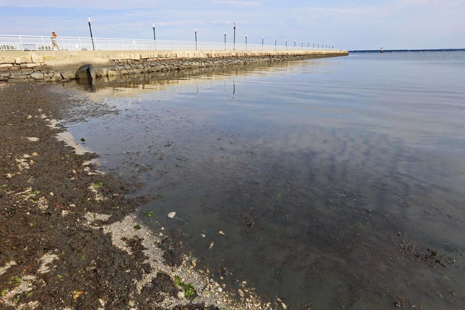 The waters of Fort Taber Park in the South End of New Bedford have turned dark due to an algae bloom that has spread across the region because of higher-than-normal water temperatures. PETER PEREIRA/THE STANDARD-TIMES/SCMG
