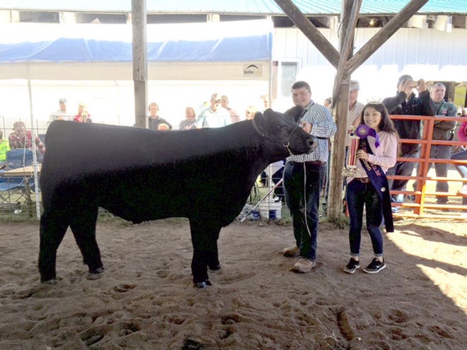 Mitchell Miller, age 15, won Grand Champion Steer at the fair. Miller is a sophomore attending Pickford High School.