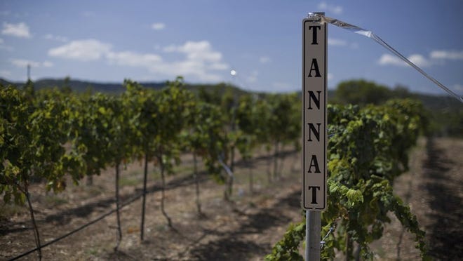 The bold tannins of estate-grown tannat grapes, among others, have helped to put Bending Branch Winery on the map as a maker of bold, intense reds.