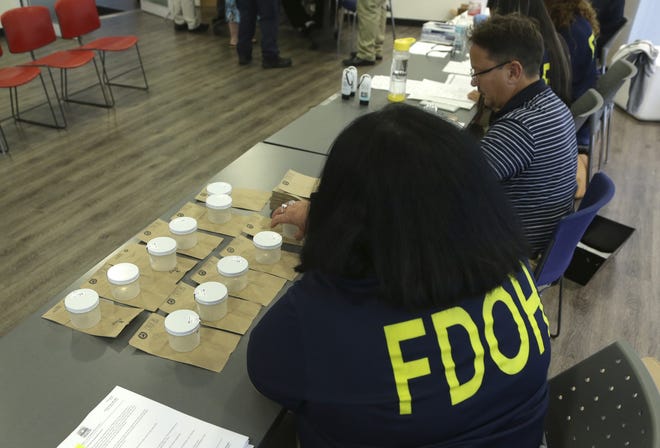 A Florida Department of Health employee arranges plastic containers for people to provide a urine sample to test for the Zika virus Wednesday, in Miami Beach. (AP Photo/Lynne Sladky)