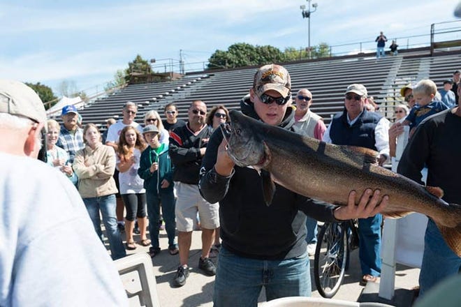 Salmon are weighed in at a previous tournament. Contributed