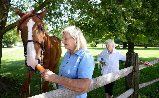 Patricia "Penny" Silcox (left) speaks about the legal battle with business partners Michael and Michelle Gara over Hickory Run horse farm in Upper Makefield. Her mother, Dolores Silcox, looks on as she feeds a horse at another farm where she's giving riding lessons.