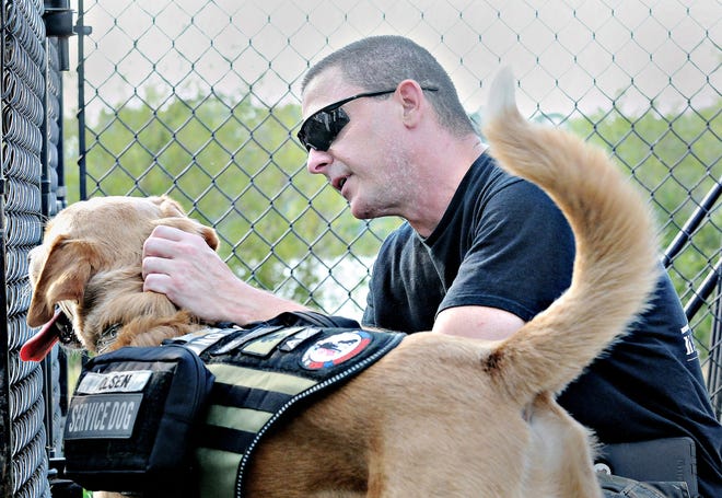 Todd Olsen and his service dog Hager visit Falls Township Park on Thursday, Sept. 8, 2016. Olsen who suffers from PTSD, just completed training with the organization, K9s for Warriors, which connects veterans with service dogs.