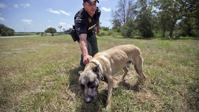 Fayette County sheriff’s office deputy Randy Thumann with his K-9 police dog, Lobos. DEBORAH CANNON / AMERICAN-STATESMAN
