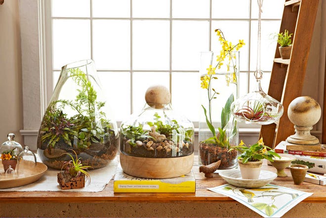This undated photo provided by Meredith show an assortment of terrariums, vases, jars and succulent displays bringing an otherwise ordinary corner of a home to life, creating an interior landscape in miniature. (Michael Partenio/Meredith via AP)
