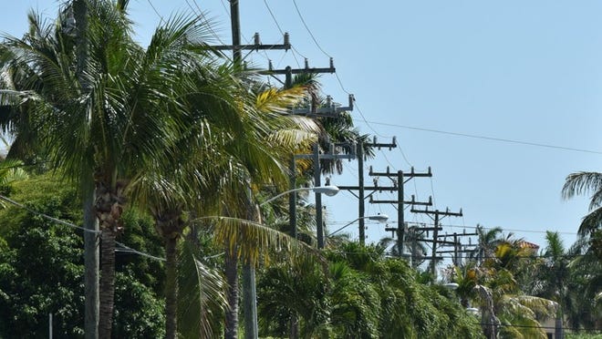 As part of its effort to move power, cable and phone lines underground, the Town Council on Tuesday established a town advisory board and set rules for who can serve on that board. Residents have long discussed putting power lines, shown along Hibiscus Avenue, underground.
