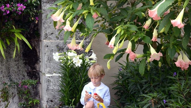 Tommy Gilder of Wellington compares his eggs during the 2014 Easter Egg Hunt at The Episcopal Church of Bethesda-by-the-Sea. Approximately 1,300 eggs were dispersed throughout the Cluett Memorial Garden on Easter morning.