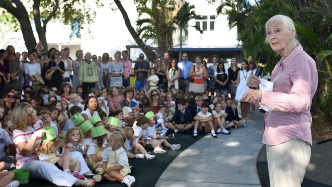 Jane Goodall addresses students of the Palm Beach Day Academy’s Lower Campus Thursday morning during their weekly flag ceremony. The conservationist discussed animals such as chimps. ‘Chimpanzees are more like us than any other creature.’