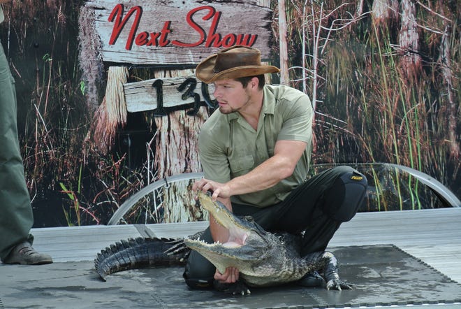 Michael Caruthers pries open an alligator's mouth as part of "Kachunga and the Alligator Show" at the Arkansas-Oklahoma State Fair on Sunday, Sept. 25, 2016. THOMAS SACCENTE/TIMES RECORD