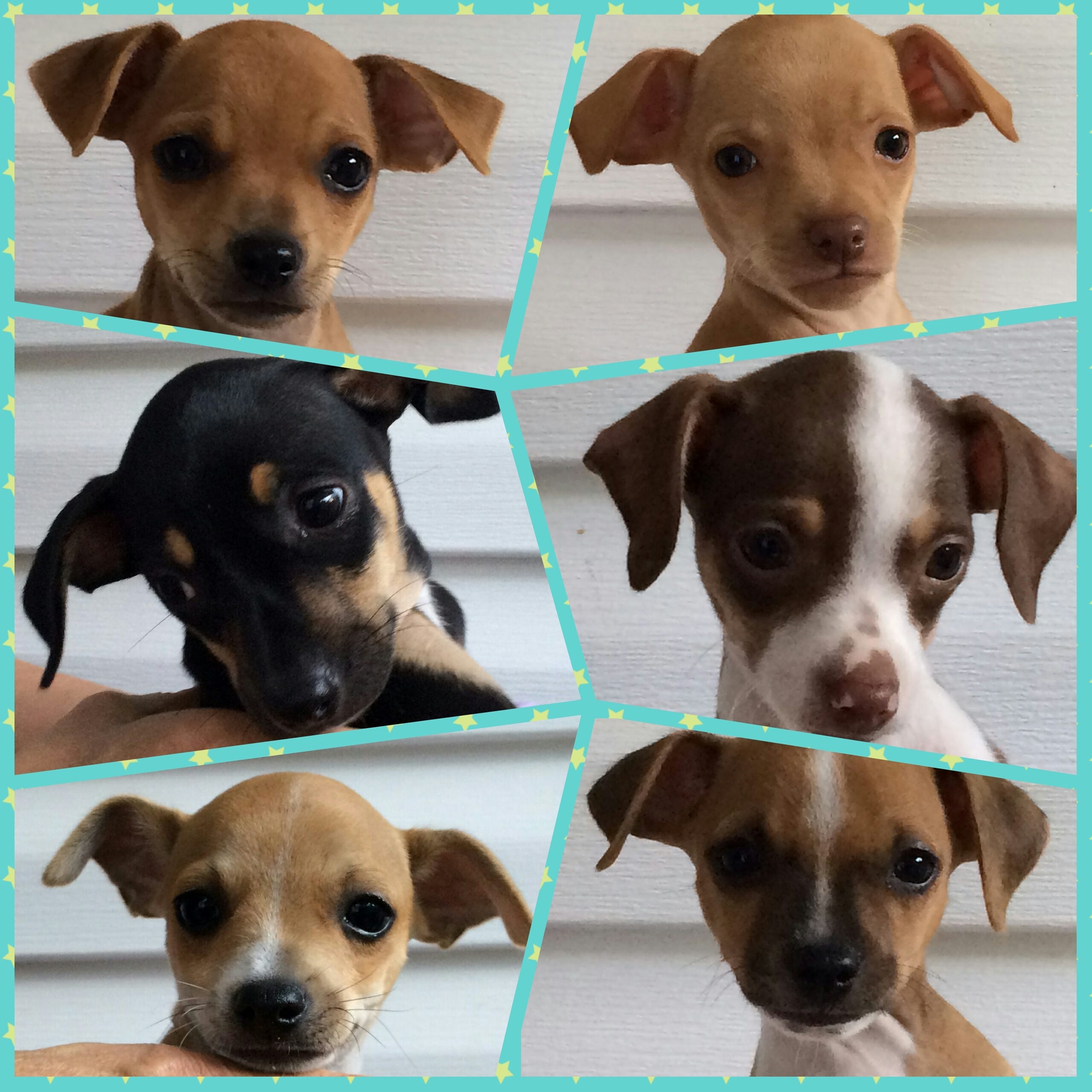 dog ear fence panels menards