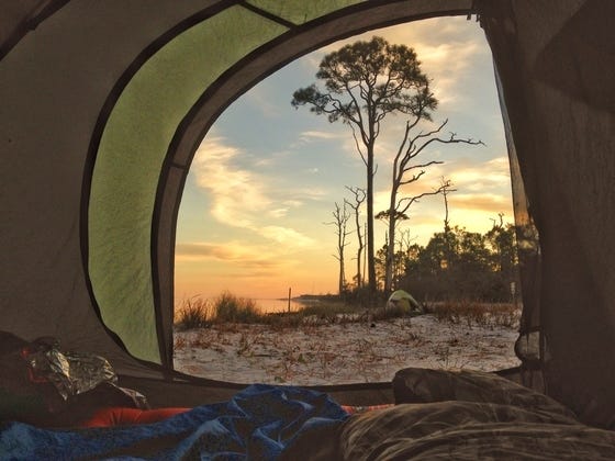 Grand-prize winner Claire Mitchell’s photo, "Monday Morning – We Must be Doing Something Right," was taken at Dr. Julian G. Bruce St. George Island State Park.