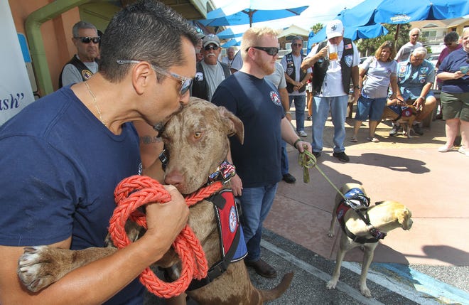 Rob Ramos gives his new Paws of War service dog, Colby, a kiss as he stands with Derek Logsdon and his dog, Carly, Thursday September 29, 2016 during a ceremony in Flagler Beach to present the Army veterans with the service dogs in Flagler Beach. NEWS-JOURNAL/DAVID TUCKER