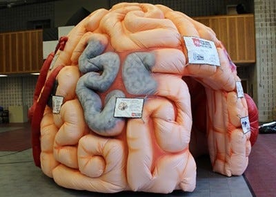 The Mega Brain, a walk-through exhibit, will be at the Paint the Park Pink event Saturday on the University of Arkansas at Fort Smith Campus. Photo courtesy Sparks Health System