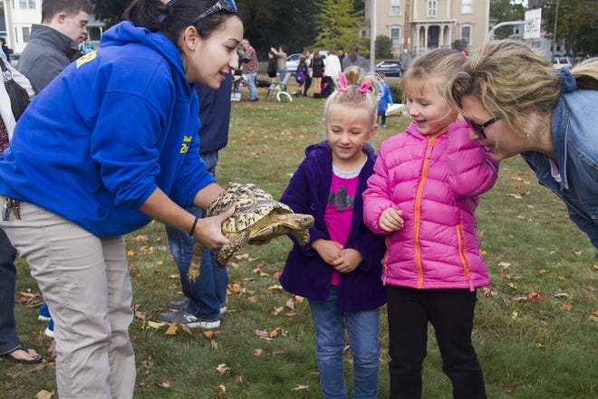 Young guests of the 2015 Milford Fall Family Fun Day meet the animals of Southwick’s Zoo. Courtesy Photo