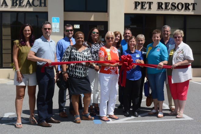 The Port Orange South Daytona Chamber recently hosted a ribbon cutting for Dogtona Beach Pet Resort, 600 Mason Ave., Suite 200 in Daytona Beach. Dogtona Beach Pet Resort owner Linda Conrad is also a dog trainer with more than 12 years’ experience. The facility, with 63 suites to accommodate 125 dogs, cat condos and space for other animals, is located inside the ARNI Rescue Animal Center. For more information, contact 386-333-9960 or visit dogtonabeach.com. Pictured in front, from left, are April Price, Greg Price, Suzanne Cools, Wendy Evans, owner Linda Conrad, Eve Krauth and Ann Pintiliano.