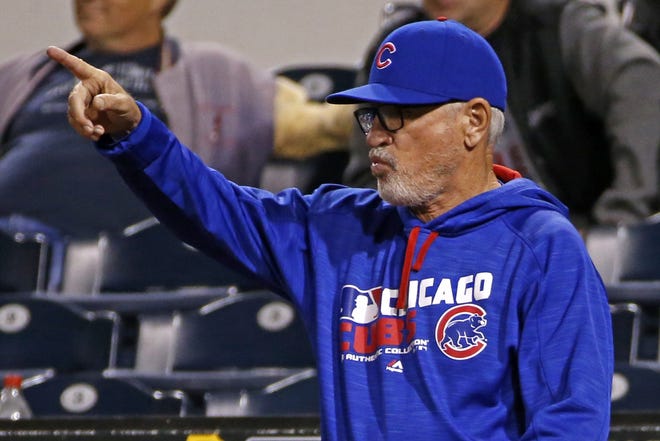 Manager Joe Maddon hopes to point the Cubs to their first pennant since 1945 and first world championship since 1908. GENE J. PUSKAR/THE ASSOCIATED PRESS