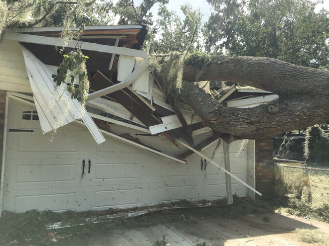 A large oak tree lies on the roof of Aida Barton's house in the Derbyshire neighborhood of Daytona Beach. Most every street Saturday had at least one large tree either snapped in half or laying on the ground, a car or a roof. NEWS-JOURNAL/EILEEN ZAFFIRO-KEAN