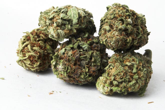 Maine voters will decide in November whether to legalize recreational use of marijuana for adults. Courtesy photo, file