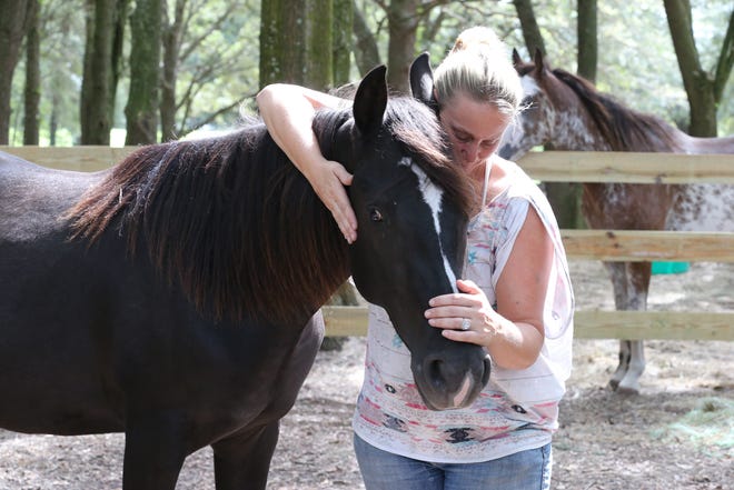 Emily Spath hugs Gunner during a quiet moment with the 2-year-old gelding Dann Mustang, which she has adopted. (Bruce Ackerman/Staff photographer)