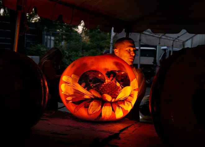 Pumpkin carver Mike Curll works on his ladybug and flower carving, one of many on display at the Jack-O-Lantern Spectacular at Roger Williams Park Zoo. The Providence Journal/Kris Craig